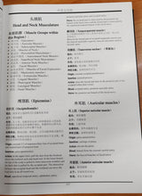汉英人体骨骼肌解剖图谱 A Chinese-English Atlas of Human Skeletal Muscles(精装)