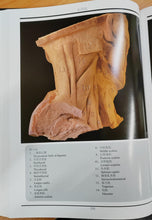 汉英人体骨骼肌解剖图谱 A Chinese-English Atlas of Human Skeletal Muscles(精装)