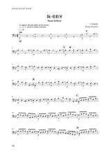 新加坡阮咸原创作品曲集 Anthology of Singaporean Ruan Compositions