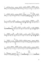 新加坡阮咸原创作品曲集 Anthology of Singaporean Ruan Compositions