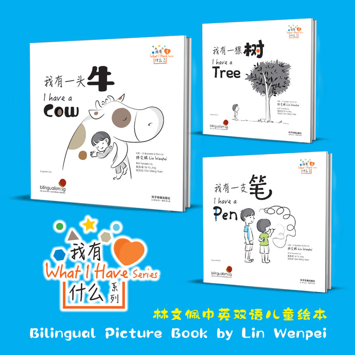 我有什么系列(一套三本)  What I Have Series (3 books)