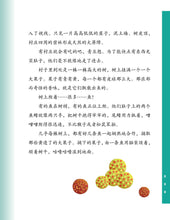 汤汤幻野故事簿03:小青瞳