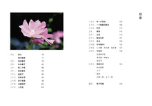 你的诵经  我的回响~谢如仙诗文集