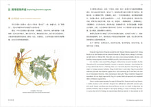 识药闻香 Fragrance of Herbs (Chinese and English)