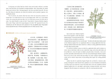 识药闻香 Fragrance of Herbs (Chinese and English)