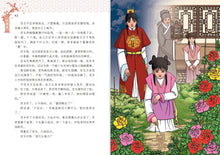 青春版红楼梦(下)~中学新泛读丛书10