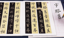 欧阳询九成宫醴泉铭-实临 视频 技法