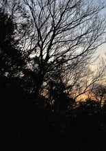 如果还有萤火虫-林得楠诗集(2017)