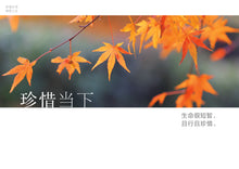 珍惜生命感恩人生——卓顺发与您分享