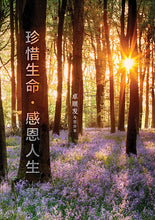 珍惜生命感恩人生——卓顺发与您分享
