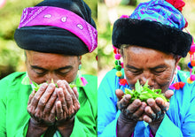 Roots of Tea by CHAGEE issue#1 The Language of Tea