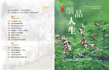 人生路上停看听/冰秀著