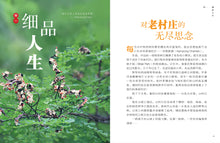 人生路上停看听