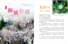 人生路上停看听