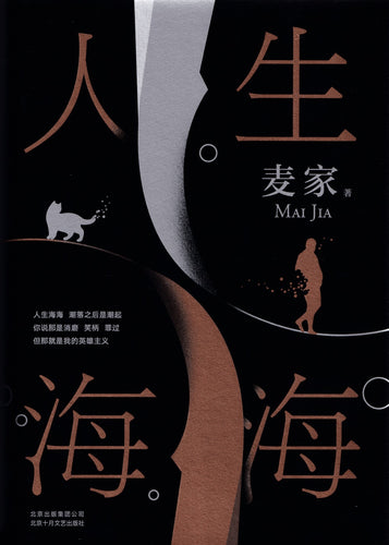 人生海海（麦家长篇小说）