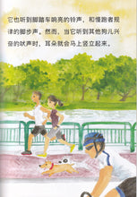 菲菲，你真棒！Picture book with Hanyu Pinyin