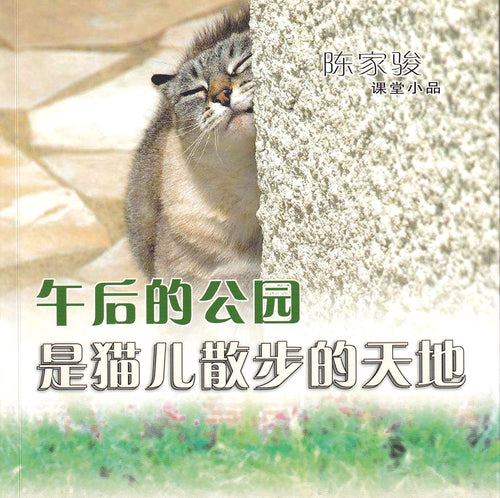 午后的公园是猫儿散步的天地——陈家骏课堂小品